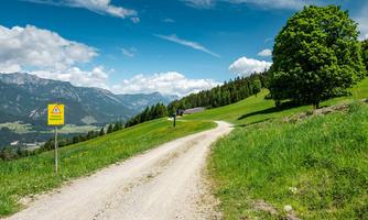 A beautiful, peaceful path through a green meadow with trees. In the background, there are mountains and a blue sky with white clouds.