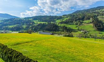 A wide, green landscape with yellow flowers and gentle hills. The sky is blue with some clouds.