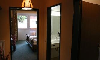 A hallway with two doors leading to a bedroom and a bathroom. There is a lamp on the ceiling and a green carpet.