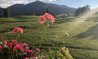 A green landscape with colorful flowers in the foreground. In the background, gentle mountains rise under a bright sky.