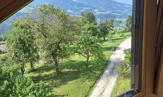 A beautiful view from a window of a green garden with trees and a path. In the background, gentle hills and a clear blue sky are visible.