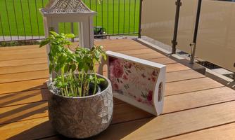 A beautiful wooden table with a pot of fresh basil and a decorative box. In the background, green meadows and a blue sky can be seen.