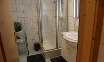 A modern bathroom with a shower and a sink. The walls are tiled and there is a small plant arrangement.