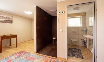 A modern room with a wooden floor and a large carpet. On the right side is a small bathroom area with white tiles and sanitary facilities.