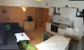 A cozy apartment with a modern kitchenette and an inviting living area. The wooden walls give the room a warm atmosphere.