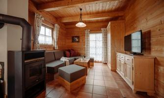 A cozy living room made of wood with a fireplace and a TV corner. Large windows let in plenty of light and create an inviting atmosphere.