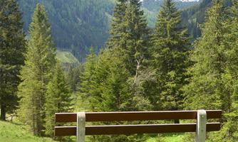 A bench stands in a green meadow with a view of the mountains. In the background, tall trees and snow-capped peaks are visible.