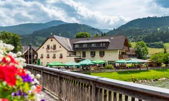 A picturesque inn by the river with green terraces under a sunny sky. In the background, gentle hills and forests rise up.