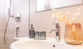 A modern bathroom with a white sink and elegant fixtures. Decorative plants and personal care products create a pleasant atmosphere in the space.