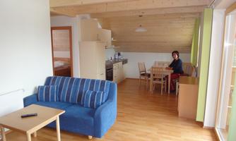 A modern apartment with a bright wooden ceiling and a cozy living room. There is a kitchen and a dining area with a table and chairs.