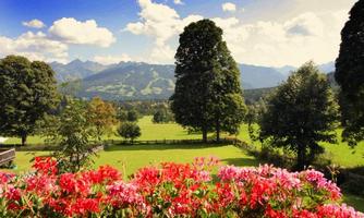 A picturesque landscape with colorful flowers in the foreground and a green meadow, surrounded by mountains in the background. The sky is blue with some clouds.