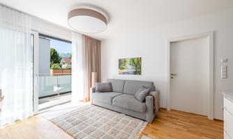 A modern living room with a gray sofa and a rug on a hardwood floor. Large windows provide plenty of daylight and a view outside.