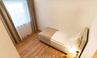 A simple room with a single bed and a small table. The room has large windows with curtains and a bright wooden floor.