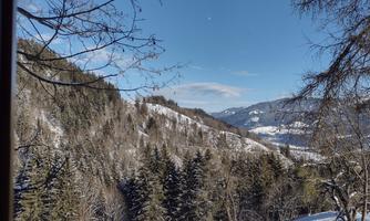 A snowy mountain landscape with green fir trees and a clear blue sky. In the background, gentle hills and valleys can be seen.