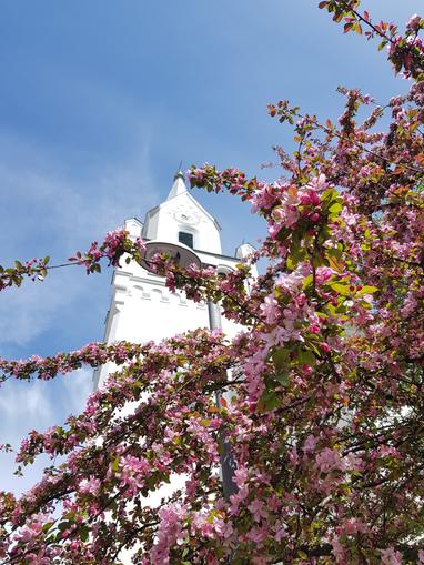 Evangelische Kirche Schladming