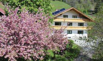 A beautiful house surrounded by blooming cherry trees. The landscape is green and idyllic.