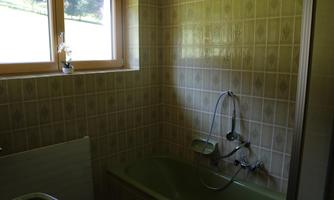 A bathroom with a bathtub and a shower. Light streams through a window and there is an orchid on the windowsill.