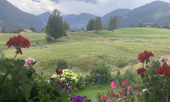 A picturesque landscape with green meadows and gentle hills. In the foreground, colorful flowers are blooming.
