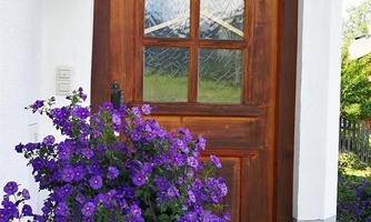 An inviting wooden door with a large window and a beautiful blue flowering plant in front of it. The door is part of a charming house with a cozy front garden.