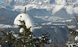 A snowy landscape with snow-covered mountains in the background. In the foreground stands a tree, its branches covered with snow.