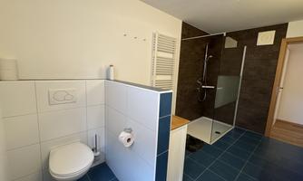 A modern bathroom with a shower and a white toilet. The walls are in neutral colors, and the floor is tiled with blue tiles.