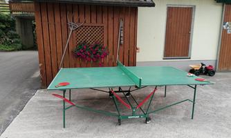 An outdoor table tennis court with a green surface and red markings. In the background, there is a wooden barn with a blooming plant visible.