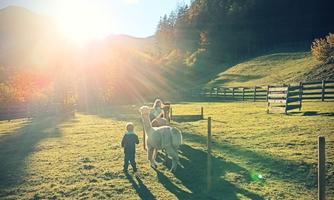 A child is walking with a pony over a green meadow. In the background, gentle hills and a sunny sky can be seen.