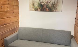 A modern gray sofa is situated in a cozy room with wooden walls. On the wall hangs a picture of a deer in a natural setting.