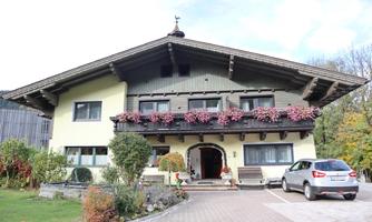 A charming Alpine-style house with blooming balcony boxes. In front of the house, there are plants and a car is parked in the driveway.