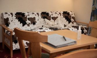 A cozy living room with a sofa covered in a cowspot pattern. On the table lies a notebook and next to it stands a bottle.