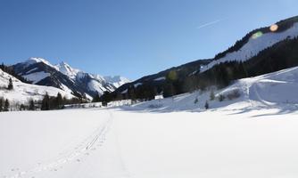 A snowy landscape with mountains in the background. The sky is clear and blue.
