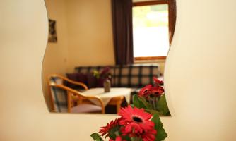 A cozy living room with a sofa and a table is visible in the mirror. In front of the mirror, there are red flowers in a pot.