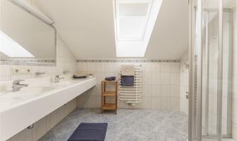 A modern bathroom with a large sink area and a shower area. Daylight streams through a skylight.