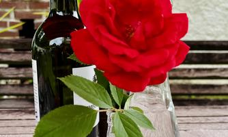 A red rose in a vase stands next to a wine bottle. In the background, soft colors and a relaxed atmosphere can be seen.