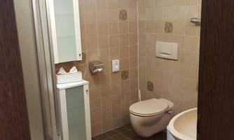 A simple bathroom with a shower, toilet, and sink. The walls are decorated with brown tiles and a white ceiling panel.