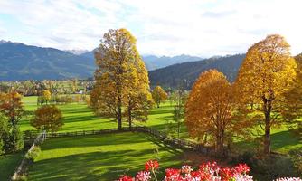 A beautiful landscape with colorful trees and wide meadows. In the background, the mountains and a clear sky can be seen.