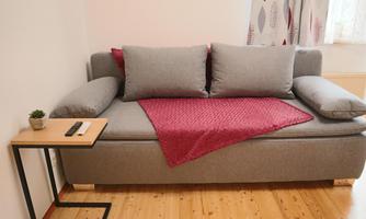A cozy gray sofa with two cushions and a red blanket. Next to the sofa is a modern table with a small plant and a remote control.