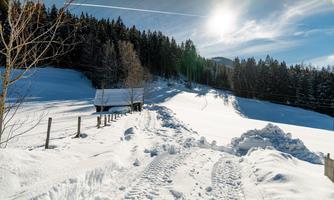 A snowy landscape with a small house and a sunny sky. The tracks in the snow lead through the peaceful winter scenery.