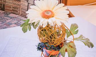 A beautiful table decoration with a white flower and green foliage in a glass. The background shows a cozy room with a comfortable armchair.