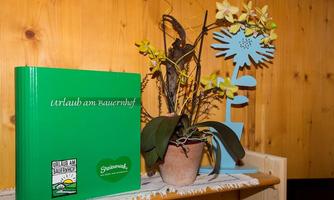 A green book with the inscription "Vacation on the Farm" is standing on a wooden table. Next to it, there is a plant in a pot and a blue decorative flower on the wall.