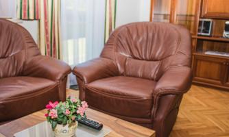 Two comfortable brown armchairs are located in a bright room. On a table in the middle, there is a small plant and a remote control.