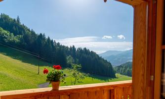 A beautiful view of green hills and forests through a window. In the foreground, there is a flower pot with red blossoms.
