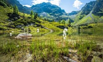 A clear mountain lake surrounded by green meadows and high mountain peaks. The landscape is illuminated by the sun and conveys a calm atmosphere.