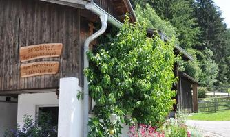A charming wooden house with a blooming garden landscape. Surrounded by trees and a clear blue sky.