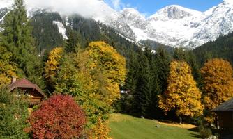An autumn landscape with colorful deciduous trees and snow-covered mountains in the background. The sky is clear and the scene is calm and inviting.
