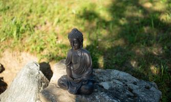 A bronze Buddha statue sits on a large rock. The background features green grass and a natural setting.