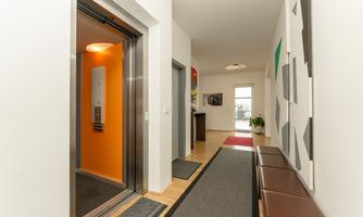 A modern corridor with an elevator and colorful pictures on the wall. The decor is bright and friendly, with a long bench and plants.