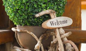 A decorative plant in a flowerpot designed like a bicycle. A small "Welcome" sign rounds off the charming design.