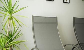 Two comfortable loungers are positioned against a wall adorned with picture frames. Next to them stands a green plant in a pot.