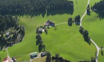 A spacious green landscape with scattered buildings and wooded areas. The gentle hills and paths create a calm, rural atmosphere.